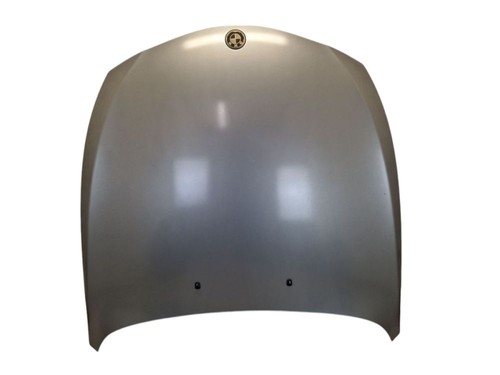 Motorhaube grau nachlackiert - grau,